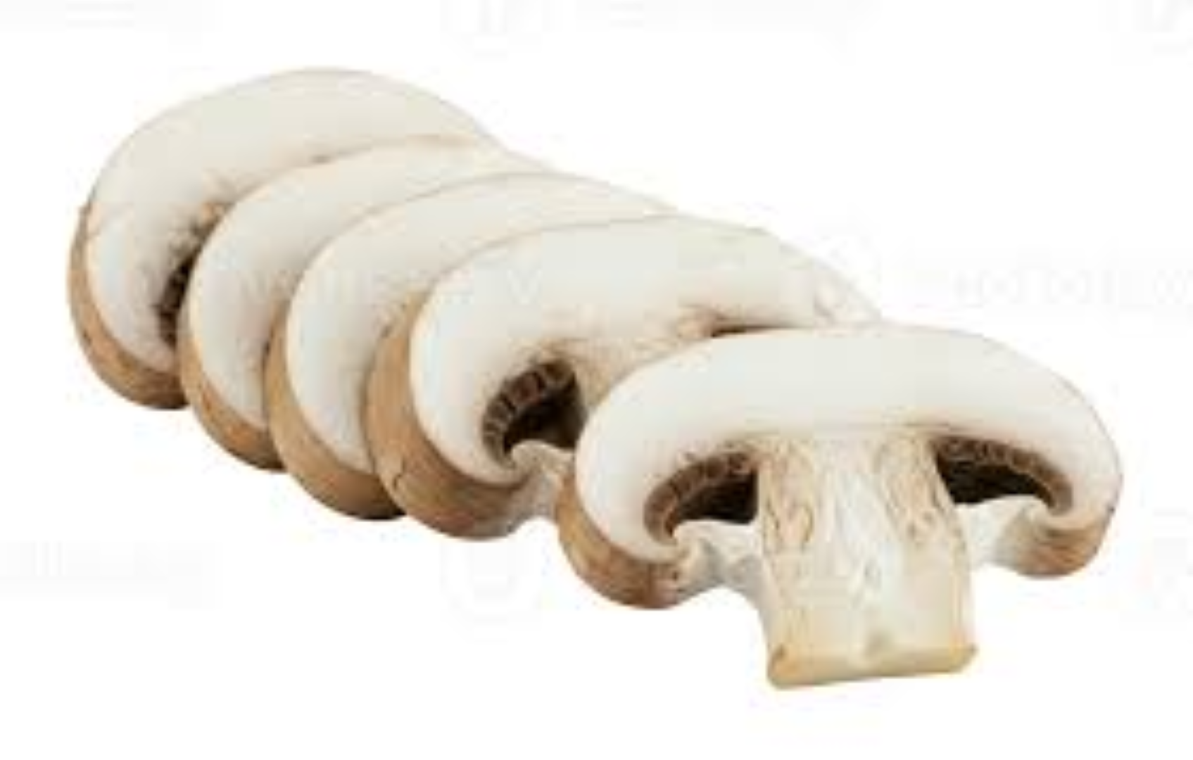 KIGALI F BUTTON MUSHROOM